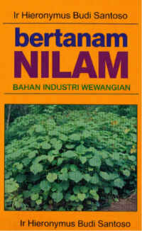 Image of bertanam nilam bahan industri wewangian